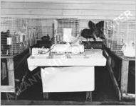 WPA Pine Mountain Valley Project, Harvest Festival