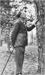Roosevelt, Franklin Delano