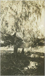 WPA Malaria Drainage Project