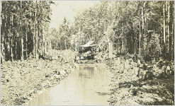 WPA Malaria Drainage Project