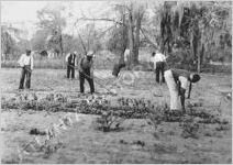 WPA Vocational Training