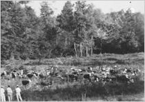 WPA Pine Mountain Valley Project