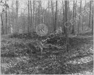 Civil War Emplacements