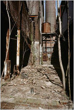 Cabbagetown