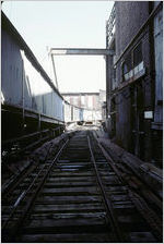 Cabbagetown