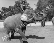 Municipal Zoo