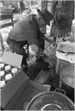 Sugar Cane Grinding