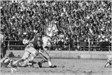 Georgia Tech Vs. University of Georgia Football Game