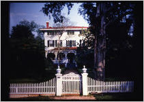 Boxwood House