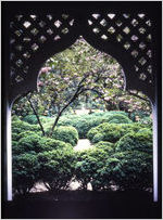 Gordon-Banks House garden