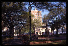 Houses on Reynolds Square