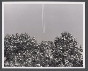 Unusual weather on campus - Jet trails over snow-covered pines