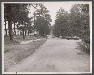 Campus construction, 1940s-1960s - Widening of road near Law building and library