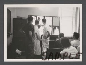 School of Medicine - Students examine X-rays