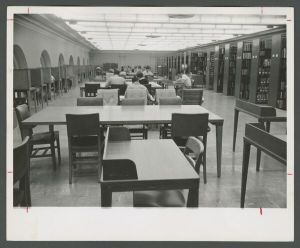 Library - Student reading in Candler library