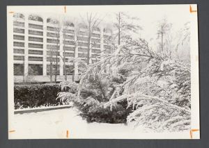 Unusual weather on campus - Snow by Woodruff Library
