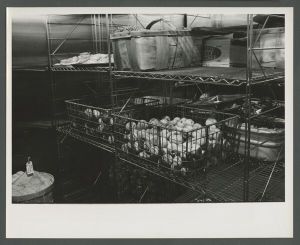 Cox Hall - Fruits and vegetables being stored in the kitchen