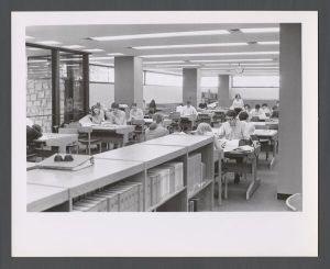Library Special Collections - Students studying in library