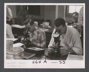 Science on Campus - Students looking into microscopes
