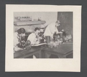 School of Medicine - People working in laboratory