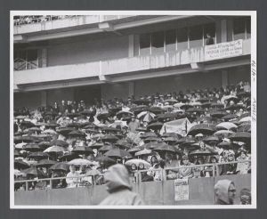 Affirmation Vietnam - Crowd with umbrellas