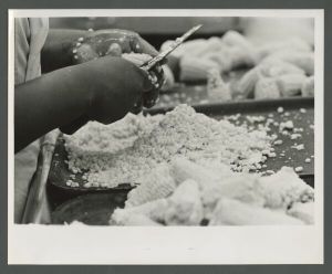 Cox Hall - Kitchen staff preparing corn