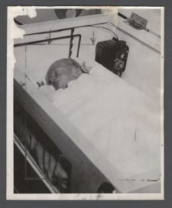 School of Medicine - Newborn Nelle Johnson