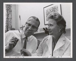 School of Medicine - Stephen Gray and Betty Edwards