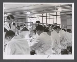 School of Dentistry, 1960s - Freshman in prosthetics lab