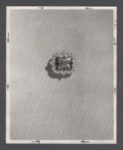 Sororities, Panhellenic Society - Phi Mu insignia