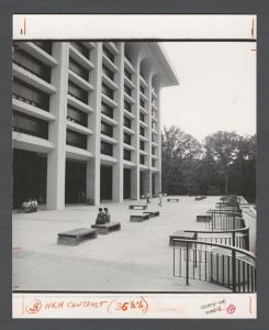 Library Special Collections - Students sitting outside library