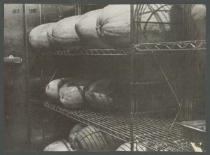 Cox Hall - Fruits and vegetables being stored in the kitchen