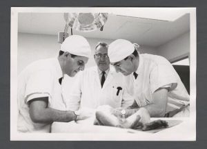 School of Dentistry - Dr. Fred Widerman works on a monkey's teeth