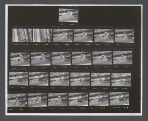 Affirmation Vietnam - Contact sheets