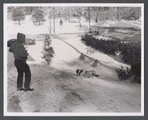 Unusual weather on campus - Sledding down hill behind Bishops hall