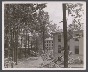 Miscellaneous buildings, 1960-1980 - Unidentified buildings pictured through trees
