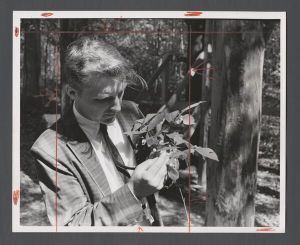 Science on Campus - William Murdy examines hickory seedling