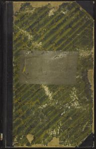 Ocmulgee Hospital records - First record book