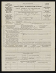 Income tax forms for James M. McMillan for 1918-1919