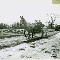 Board of Directors, near Georgia plant
