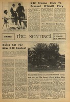 The Sentinel Vol. 3, No. 4