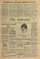The Sentinel Vol. 4, No. 2