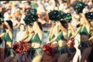 Georgia Southern University Football, 1993-1994, Slide #10