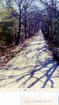Old River Road