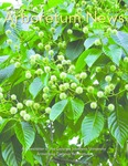 Arboretum News
