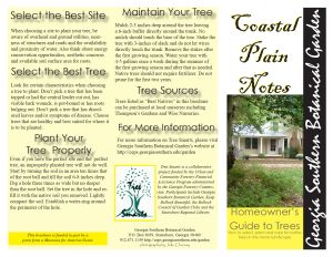 Homeowner's guide to trees