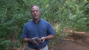Wildlife Ambassadors – King Snake