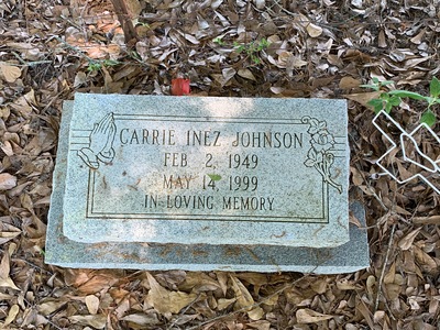 Carrie Inez Johnson