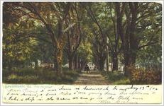 Savannah, Ga. "The Hermitage"