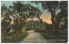 "Just a litte curve," Grand Prize and Vanderbilt Cup Race, Savannah, Ga.